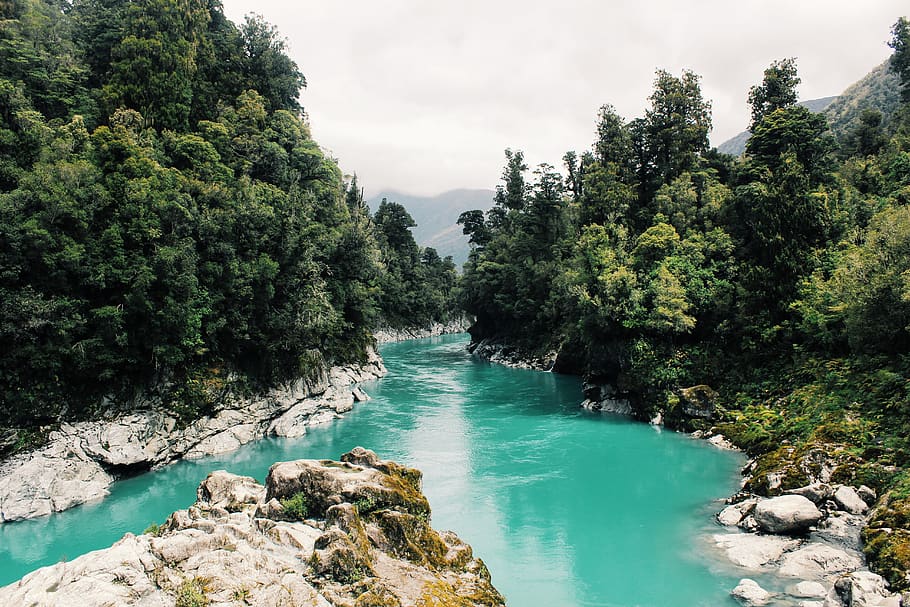 Scenic View of River, adventure, beautiful, daylight, environment HD wallpaper
