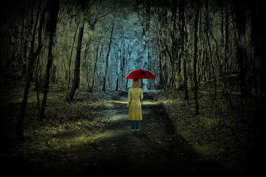 forest, woman, screen, red, person, trees, female, nature, fantasy HD wallpaper