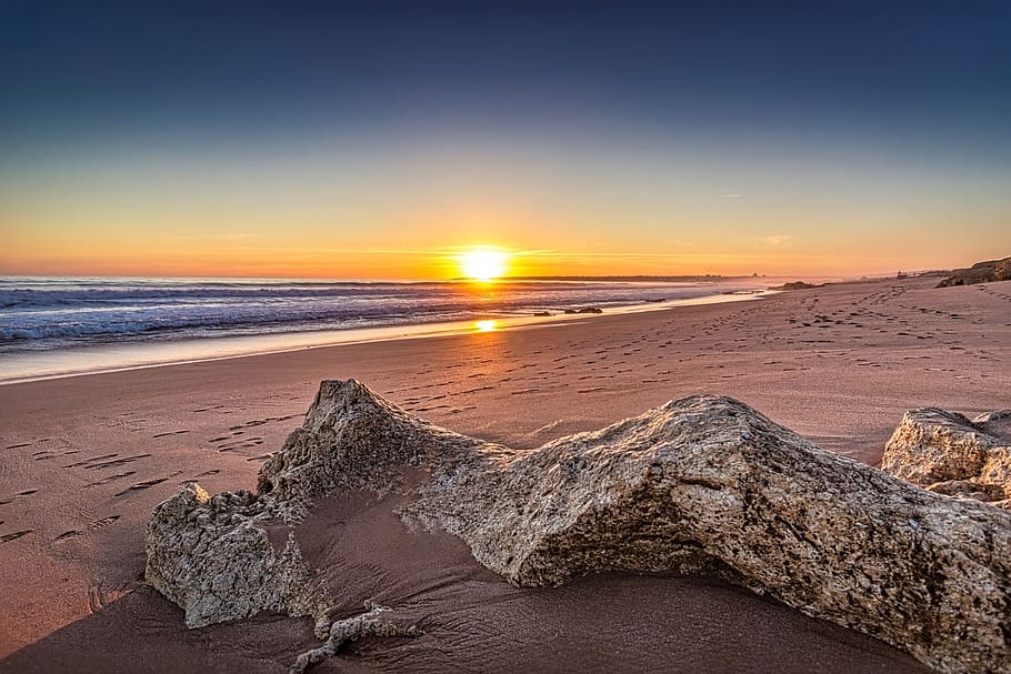 sunset, dawn, sea, seashore, beach, water, nature, sky, coast HD wallpaper