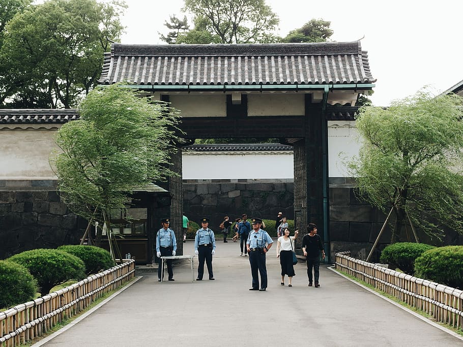 japan, chiyoda-ku, imperial palace, police, gate, tokyo, tree, HD wallpaper