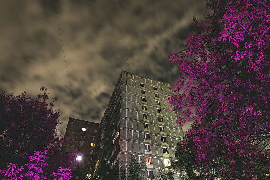 gray high-rise building, city, urban, plant, outdoors, town, high rise HD wallpaper