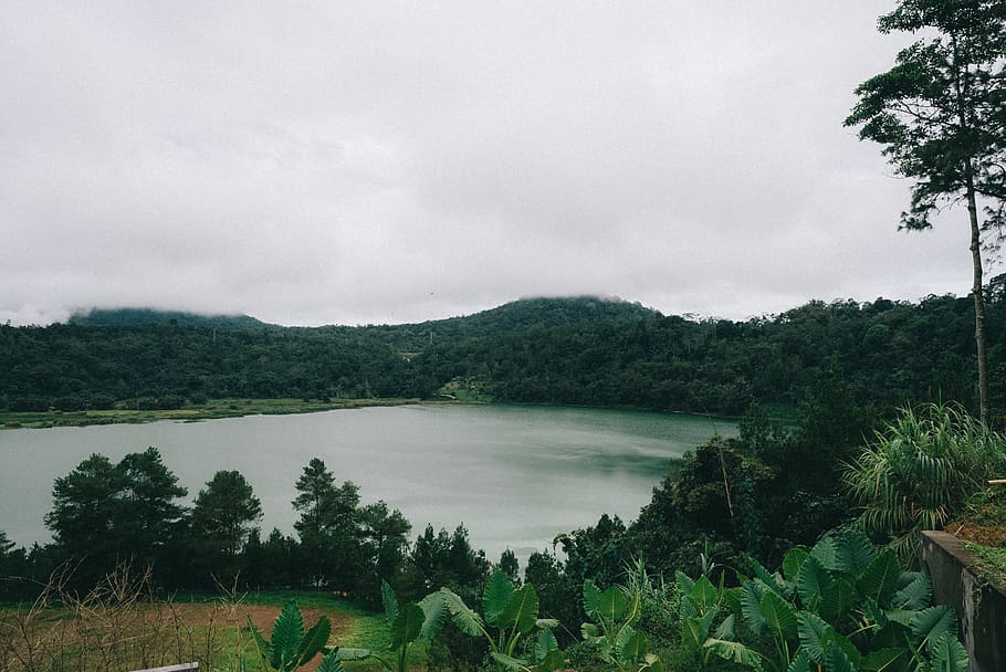 grey cloudy sky over lake lined with trees, plant, vegetation HD wallpaper