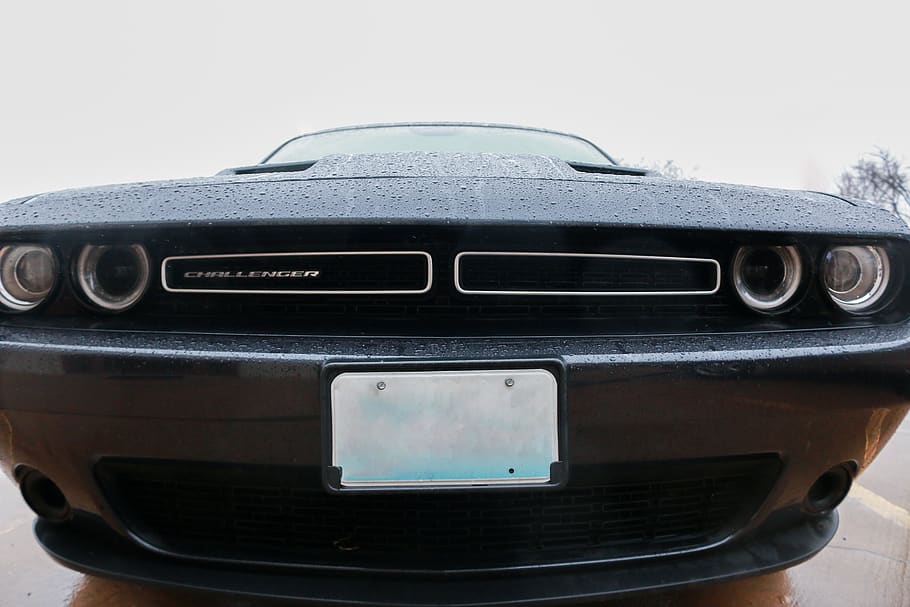 black Dodge Challenger, automobile, transportation, vehicle, car HD wallpaper