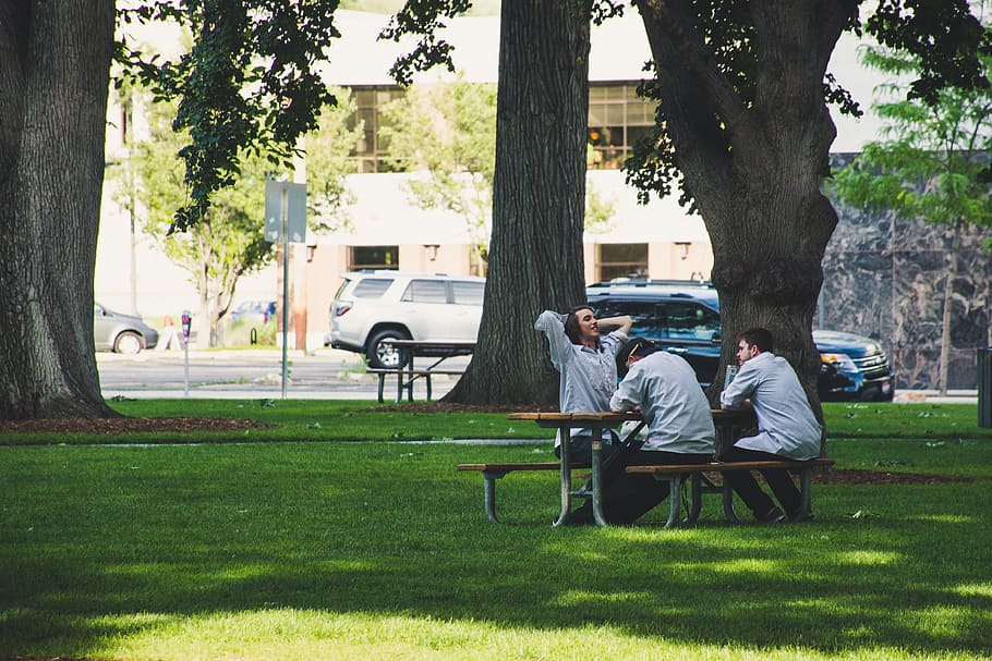 Photo Of Men Sitting On Picnic Bench, friends, grass, group, lawn HD wallpaper