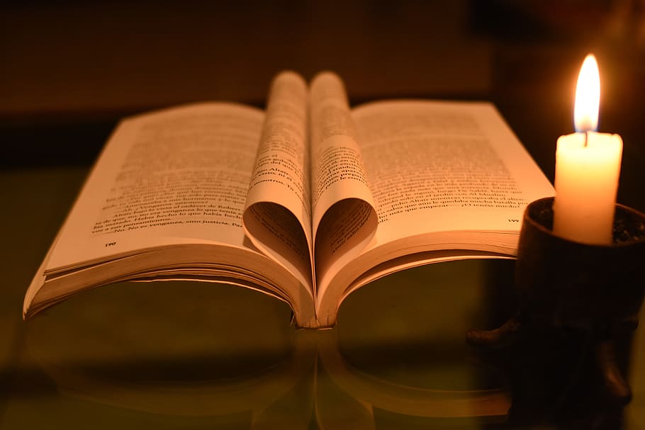 literature, book, library, cognition, publication, education HD wallpaper