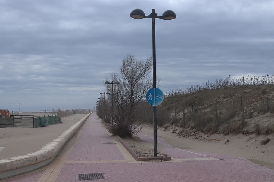 path, road, sidewalk, pavement, rosolina, empty street, lamp post HD wallpaper