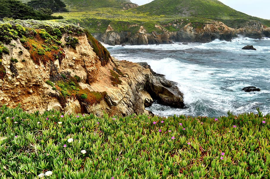green grass, promontory, nature, outdoors, cliff, ocean, water HD wallpaper