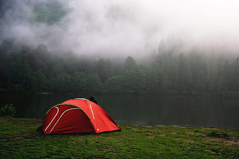 Camping by Foggy Forest in Red Tent, nature, lake, lakes, river HD wallpaper