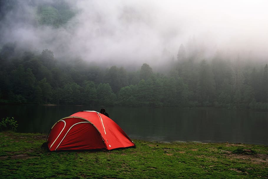 Палатка в лесу фото