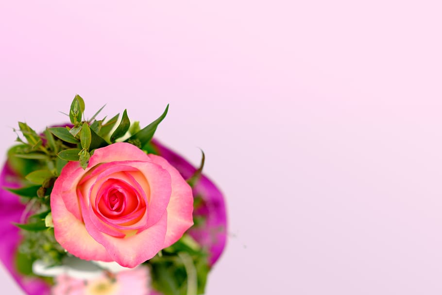 bouquet, flowers, rose, blossom, bloom, heart, love, romance, HD wallpaper