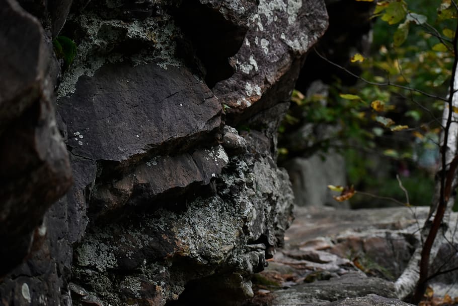 devils lake, rock formations, nature, close-up, no people, tree HD wallpaper