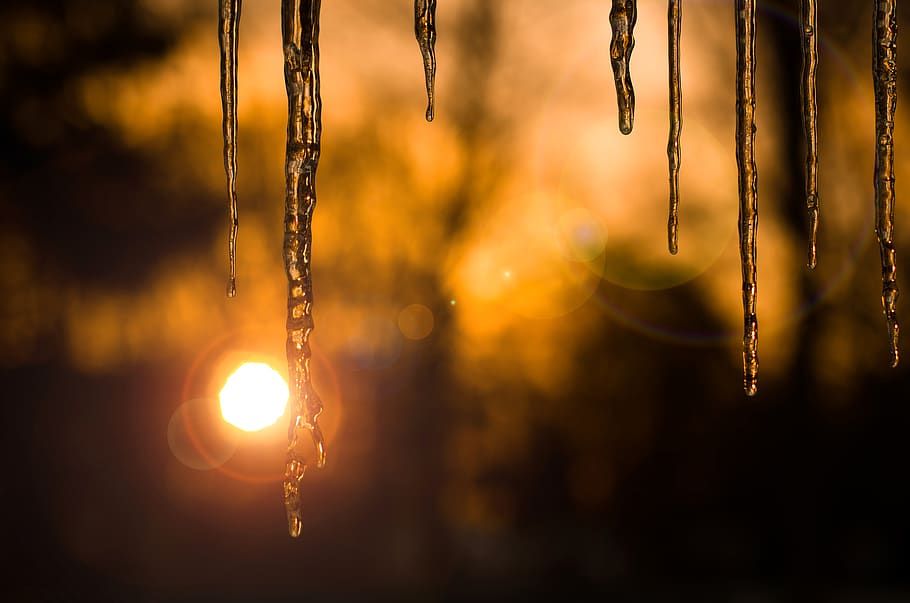 sunset, winter, focus on foreground, nature, no people, close-up HD wallpaper