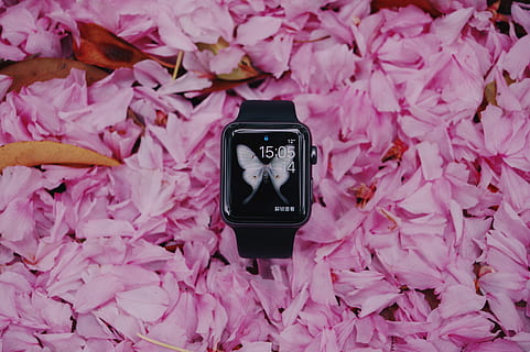 black smartwatch, pink color, flower, plant, flowering plant HD wallpaper