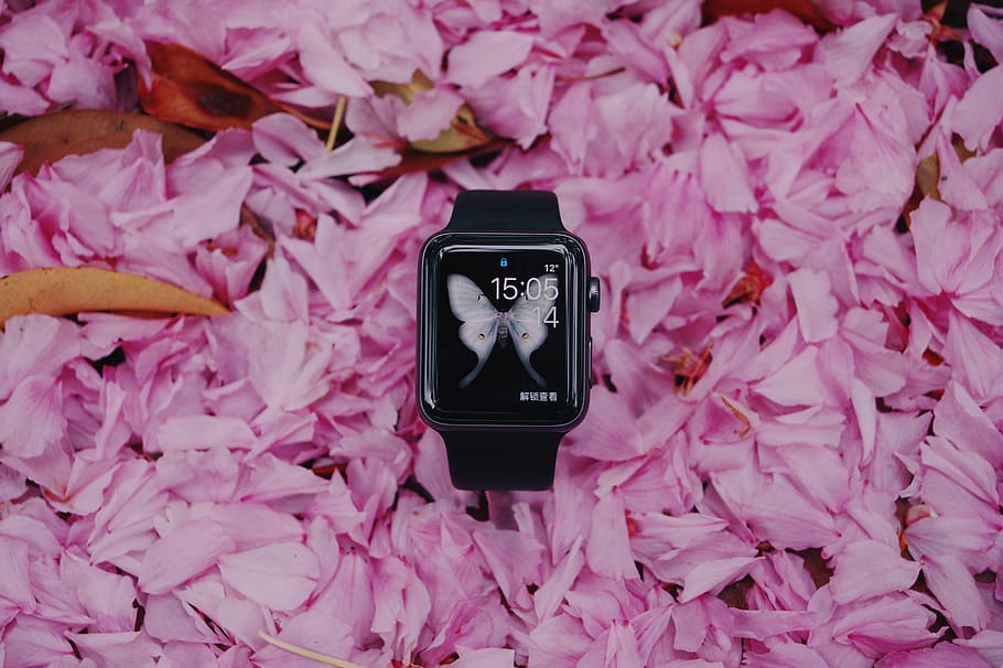 black smartwatch, pink color, flower, plant, flowering plant