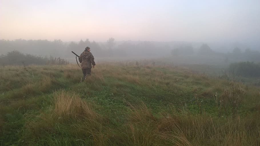 hunting, trees, people, grass, smoke, gun, hunter, fog, one person HD wallpaper