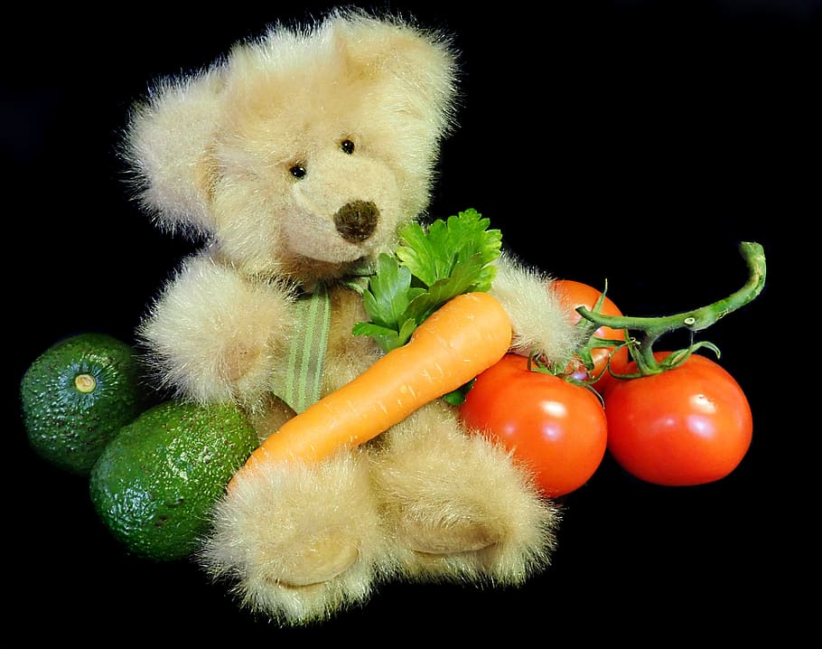 teddy, bear, vegetarian, vegetables, cute, nutrition, food and drink HD wallpaper