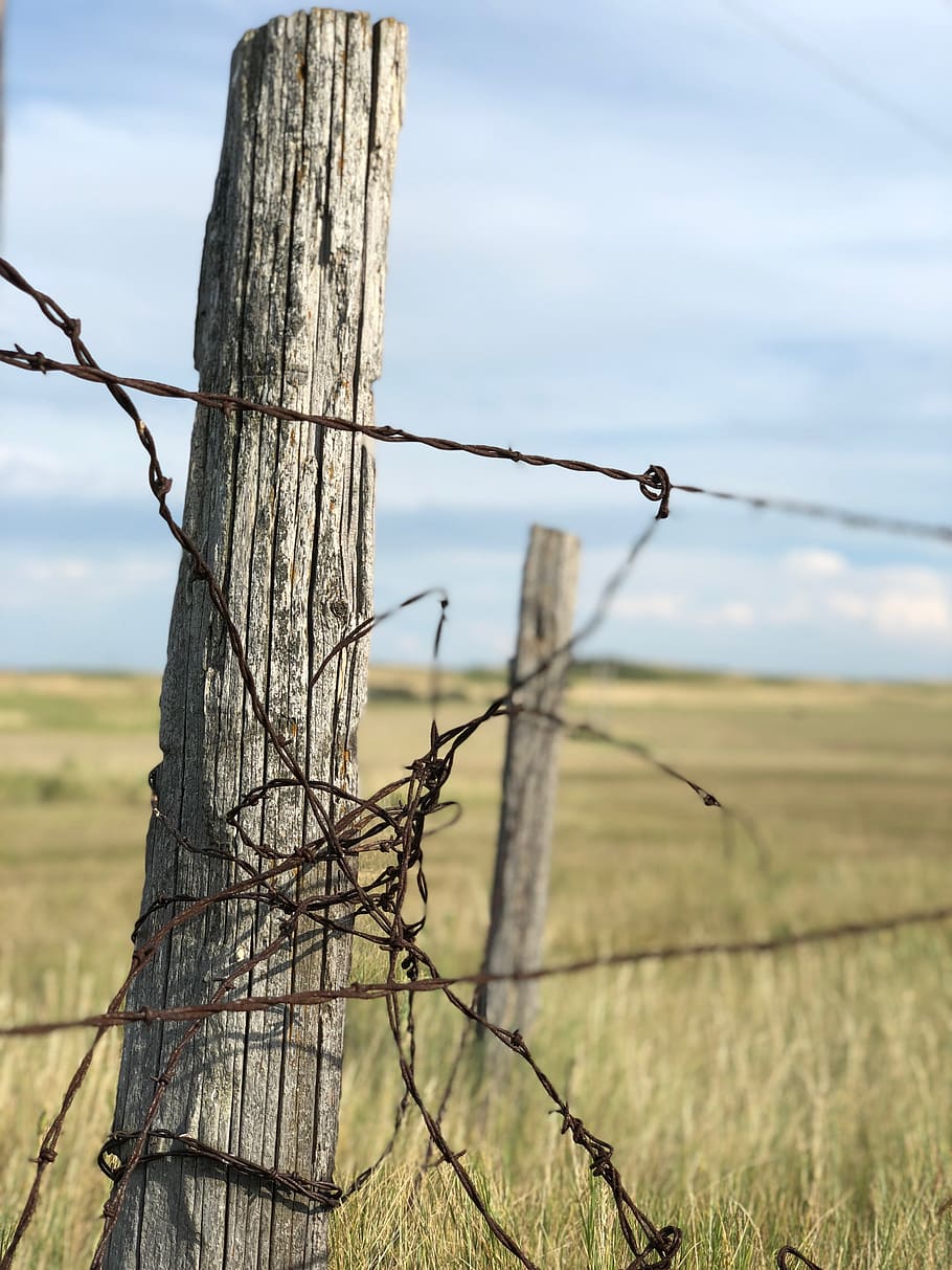 fence, post, landscape, wood, field, old, meadow, wire, barrier HD wallpaper