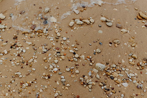 Sand beach background with sea shells & pebbles - many round small stones HD wallpaper