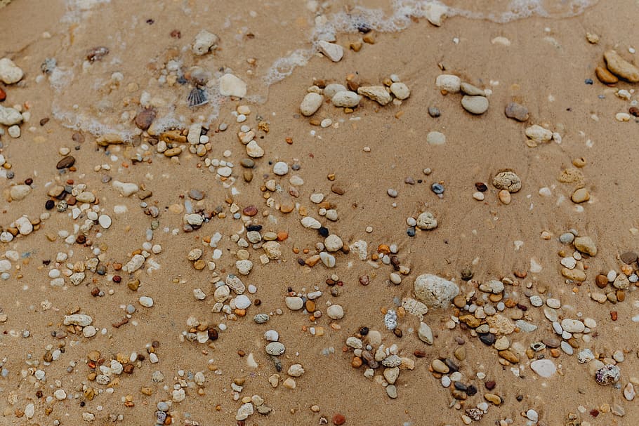 Sand beach background with sea shells & pebbles - many round small stones HD wallpaper