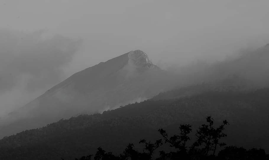 mountain, beauty in nature, tree, fog, tranquil scene, scenics - nature HD wallpaper