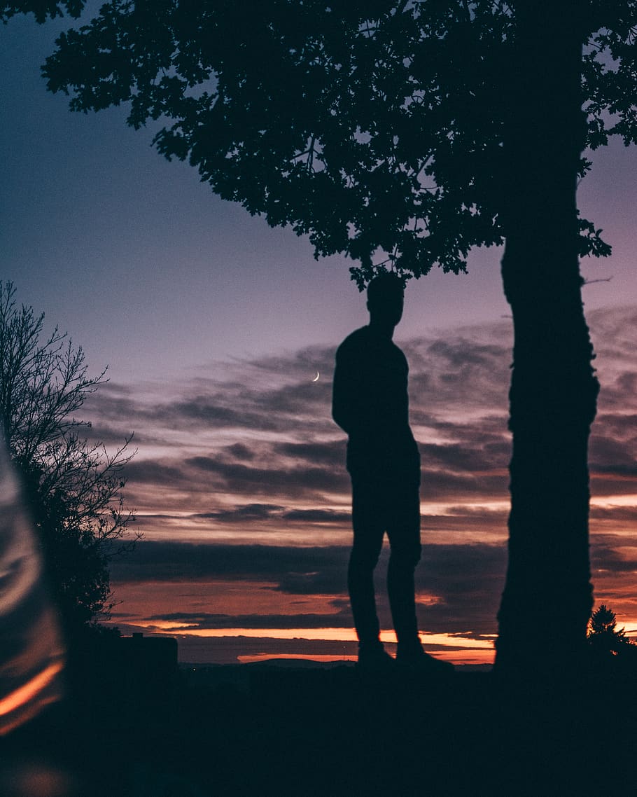 Silhouette Photo of Man Standing Beside Tree, dawn, dusk, evening HD wallpaper