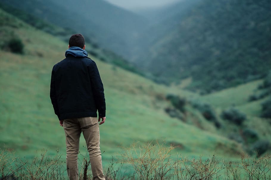 fog, mist, portrait, green, hills, trees, rear view, one person HD wallpaper