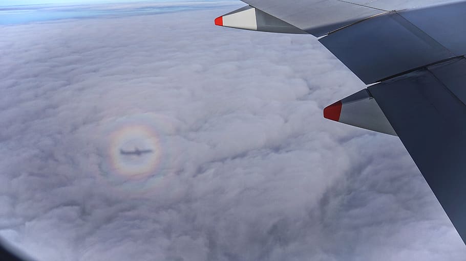 airplane, sky, flying, mode of transportation, aircraft wing HD wallpaper