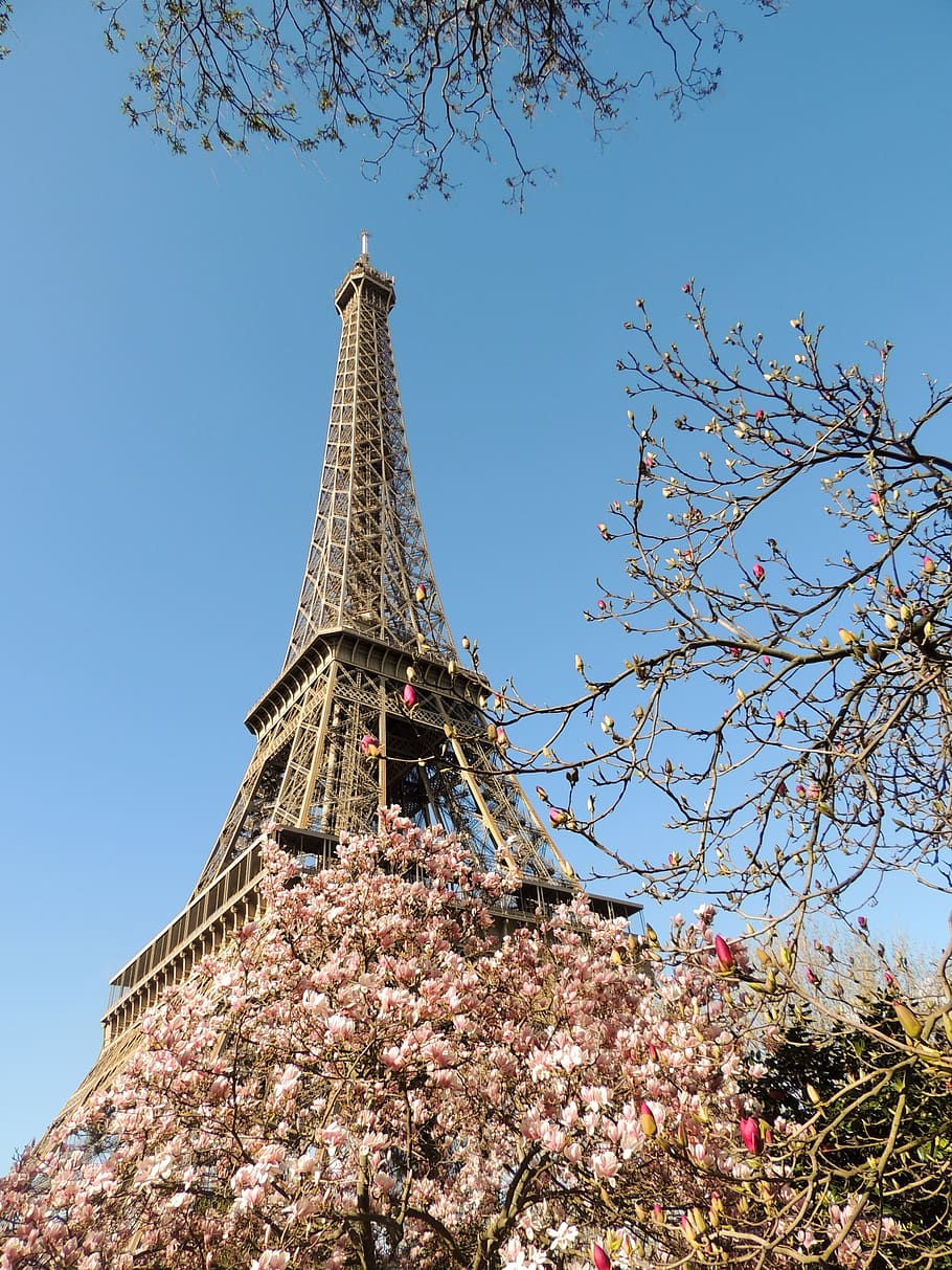 paris, eiffel tower, france, monument, famous, capital, history