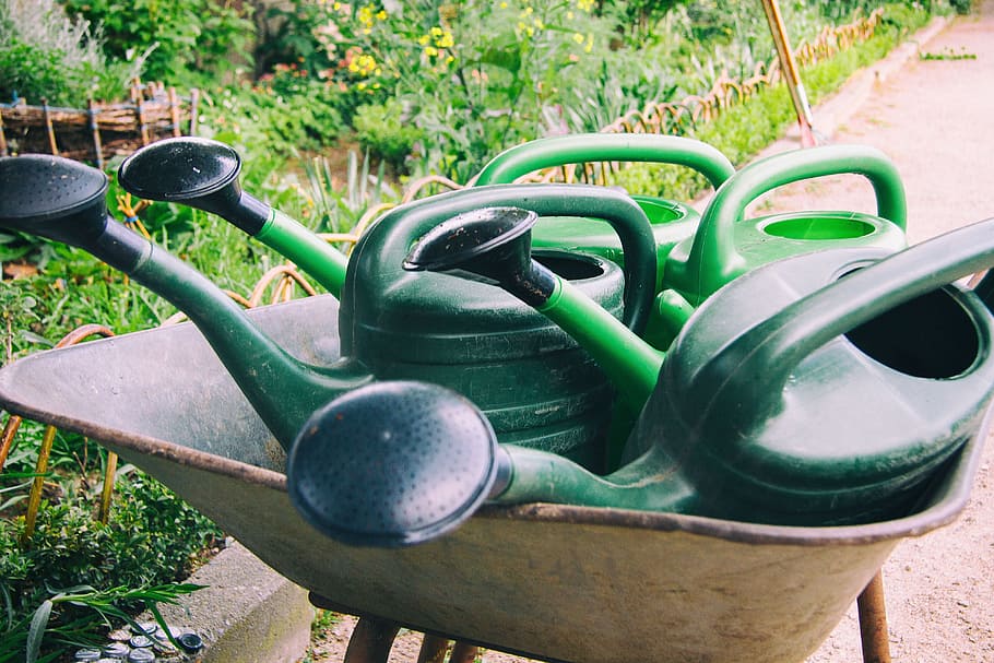Green watering cans, agriculture, background, barrow, bloom, blossom, HD wallpaper