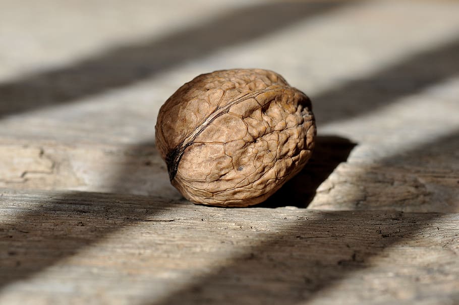 Brown Round Fruit on Grey Wooden Panel, food, nut, walnut, healthy eating HD wallpaper