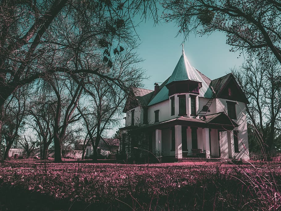 house, creepy, dark, pink, blue, old, retro, trees, american, HD wallpaper