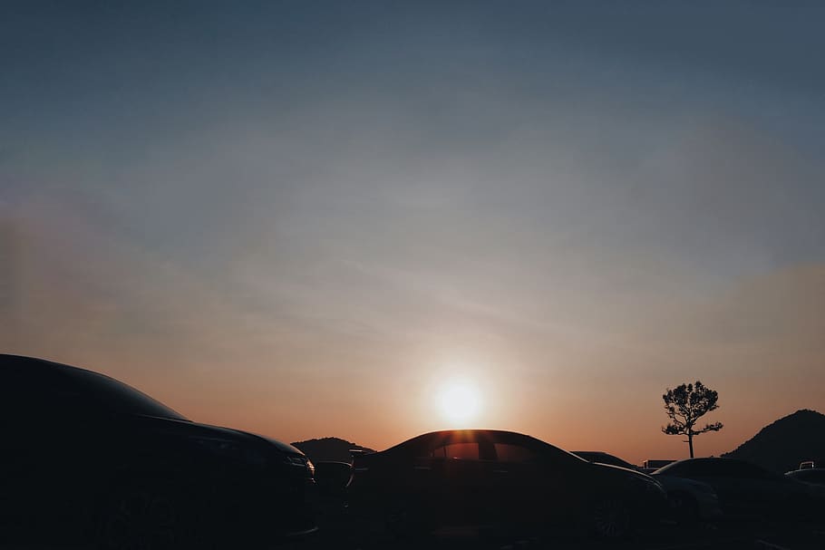 sunset, car, park, tree, sky, blue, orange, black, shadow, beauty in nature HD wallpaper
