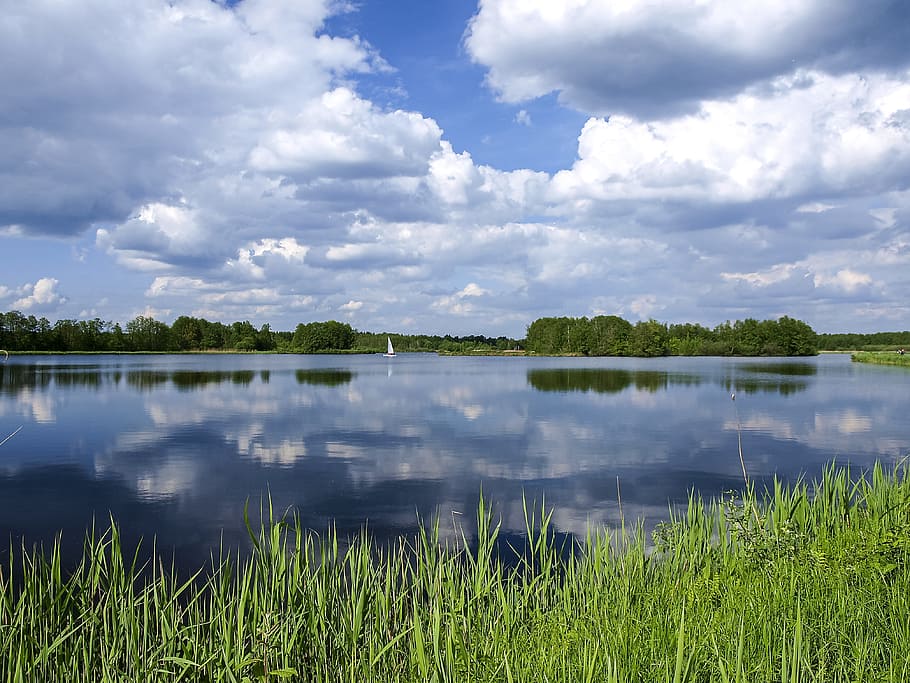 Green Grass Field Near Body of Water, clouds, dawn, daylight HD wallpaper