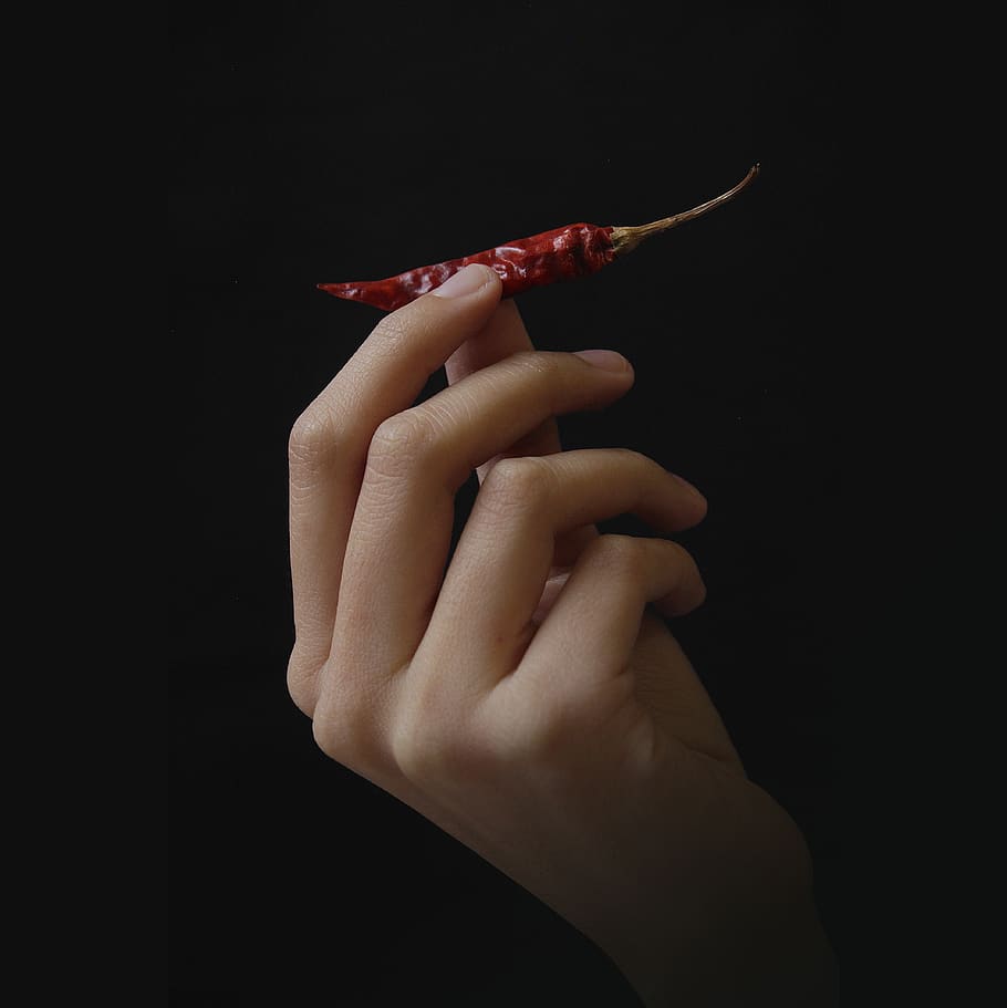 red pepper, human hand, studio shot, human body part, black background HD wallpaper