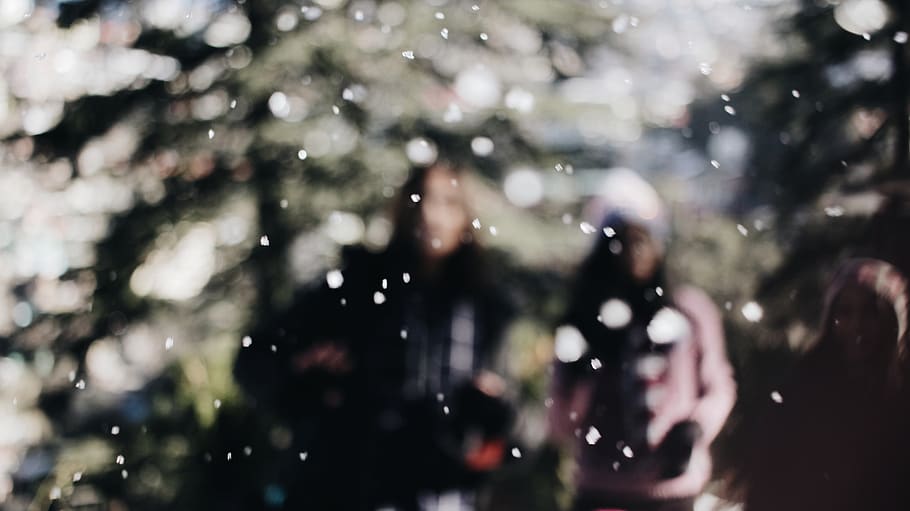 human, person, plant, tree, snow, aesthetic, fall, winter, light HD wallpaper