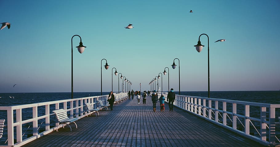 People Standing on Blue and White Dock, beach, benches, bridge HD wallpaper