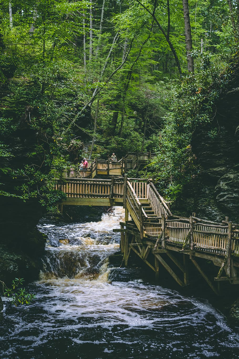 Brown Wooden Bridge Standing on Body of Water Surrounded by Trees HD wallpaper