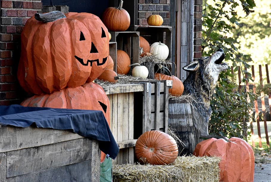 Public Domain. halloween, fall, decorations, pumpkin, autumn, october, brow...