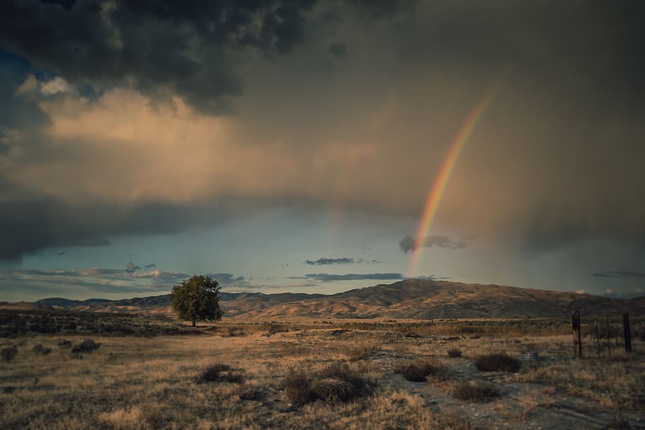 Photo of Rainbow Under Clouded Sky, dawn, daylight, evening, landscape HD wallpaper