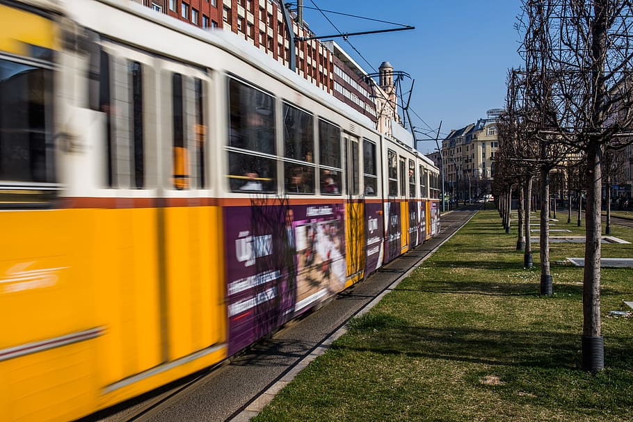 city, plants, tree, building, train, subway, public transportation HD wallpaper