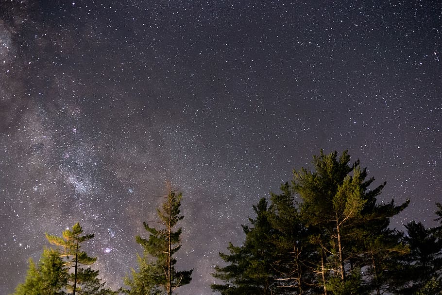 A Starry Night, astronomy, cold, constellation, dark, evening HD wallpaper