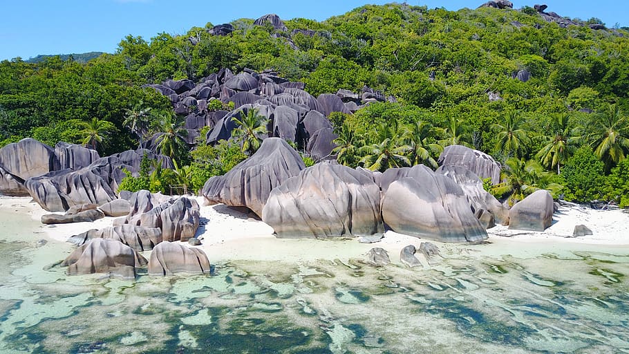 HD wallpaper: seychelles, rock, tree, sea, beach, isle, water, beauty ...