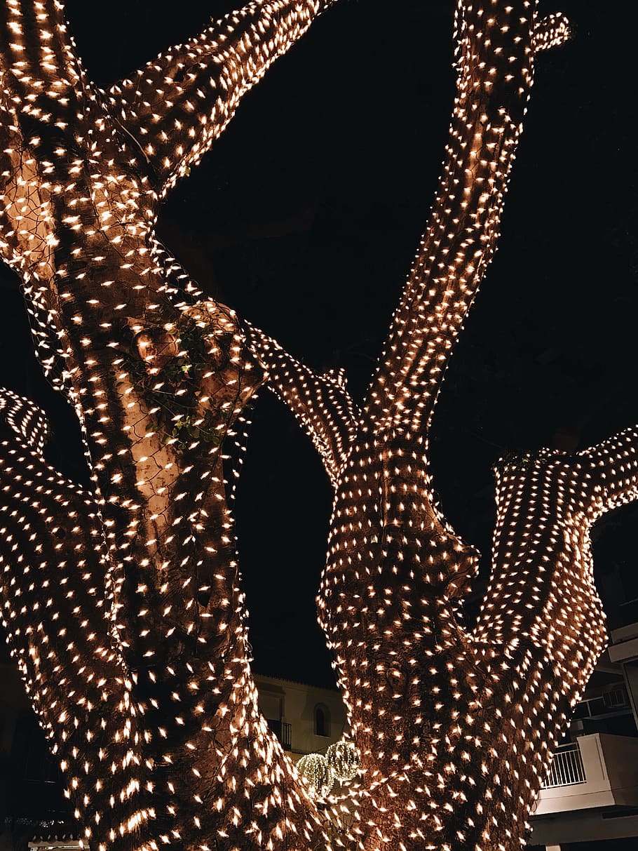 spain, fuengirola, tree, lights, christmas, illuminated, night HD wallpaper
