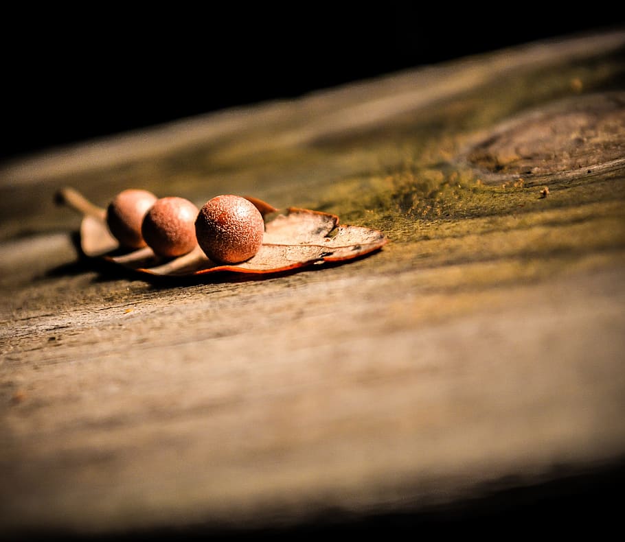 tree stump, bark, balls, leaf, wood - material, selective focus HD wallpaper