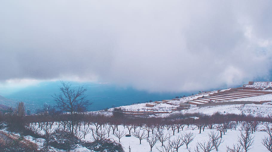 snow covered ground under white clouds, ridge, cloudy, tree, terrace HD wallpaper