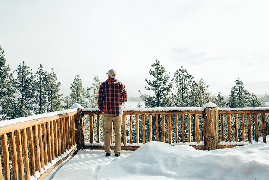 united states, big bear lake, view, trees, flannel, stare, snow, HD wallpaper