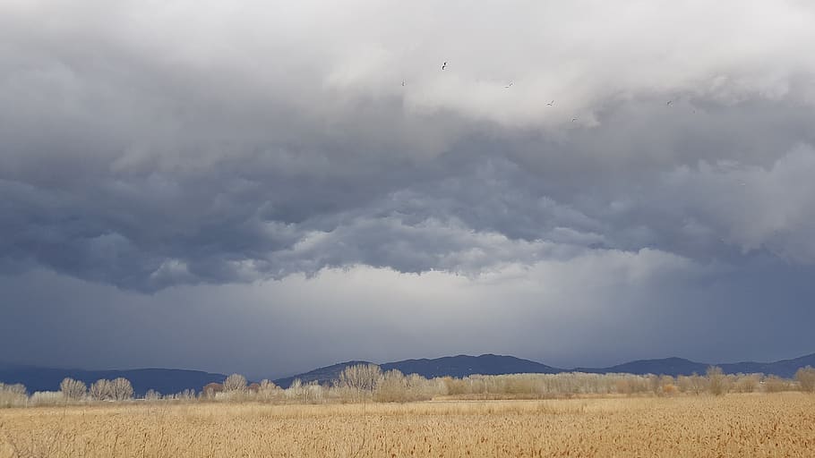 cloudy, clouds, sky, weather, cloudscape, cloudiness, cloud - sky HD wallpaper