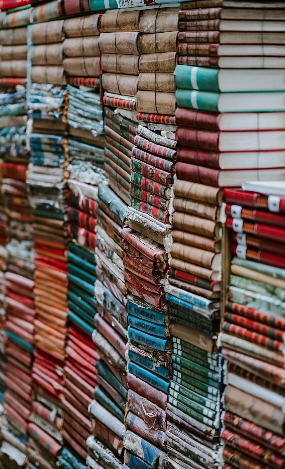 pile of assorted-color books, read, library, literature, ripped HD wallpaper