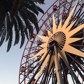 #ferriswheel #carnival #fun, low angle view, palm tree, sky HD wallpaper