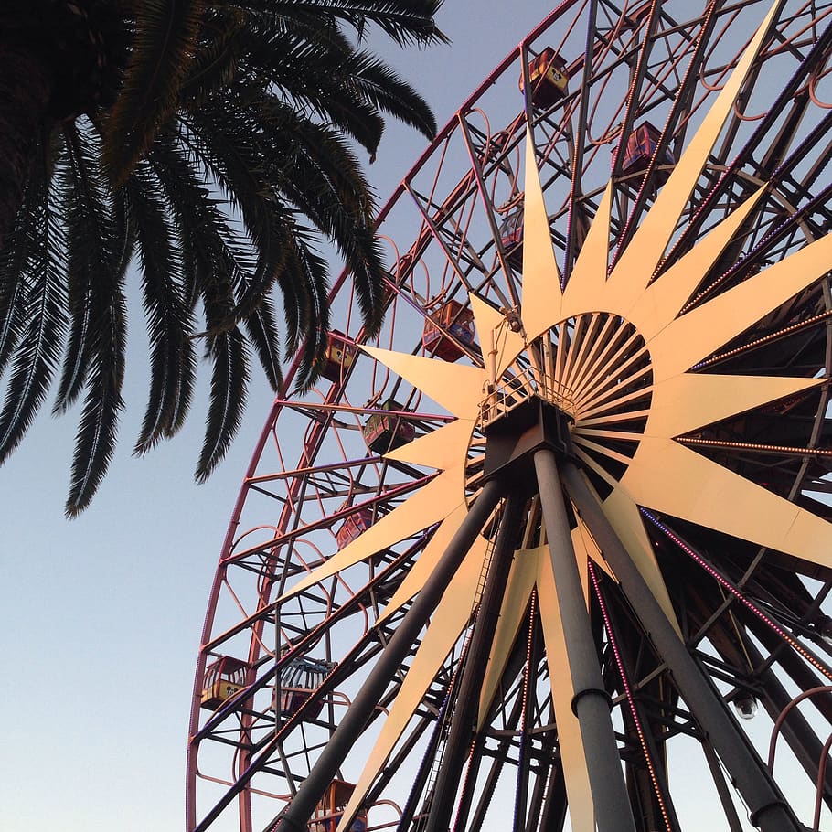 #ferriswheel #carnival #fun, low angle view, palm tree, sky HD wallpaper